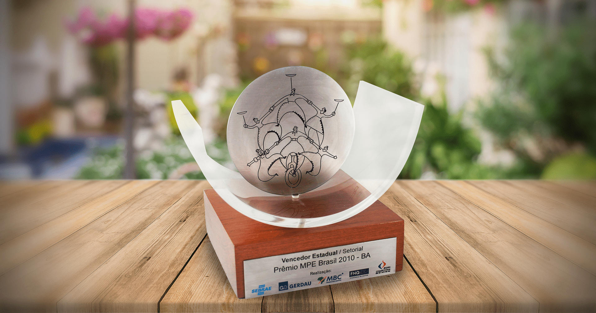 Vendedor Estadual / Setorial - Prêmio MPE Brasil 2010 - BA